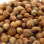 Coriander