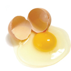  Frozen eggs (melange)