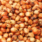 Sorghum