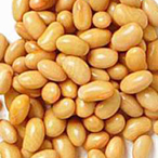 Soya