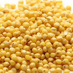 Millet