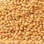 Mustard seeds