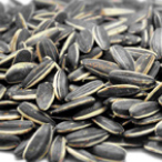 Sunflower seeds