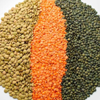 Pulses/Grains