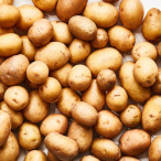 Potato